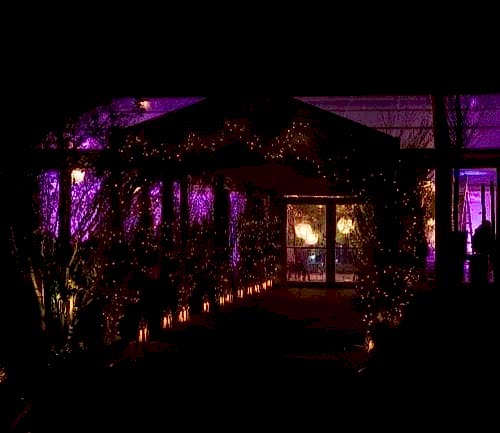 Hurley House - A dimly lit outdoor structure with a canopy decorated with string lights and lanterns, leading to large glass doors. The scene is illuminated with purple lighting, creating a festive and inviting atmosphere at night.