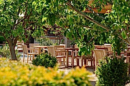 Hurley House - Wooden tables and chairs are arranged outdoors in a garden patio area, surrounded by green trees and shrubs on a sunny day.