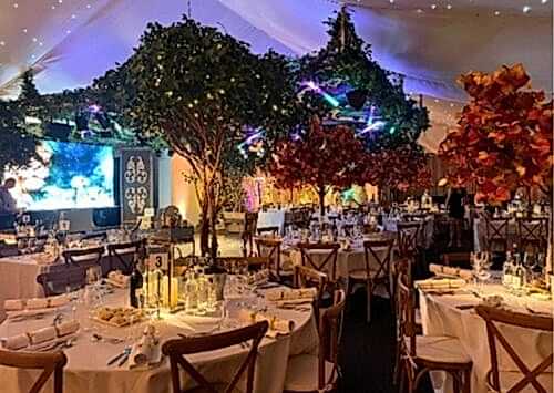 Hurley House - A lavish banquet hall decorated with round tables, elegant place settings, and tall artificial trees with green and orange foliage under a canopy of twinkling lights, creating a magical, festive atmosphere.