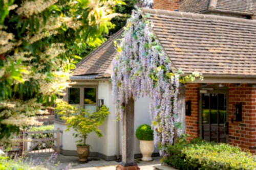 Hurley House - A cottage with red brick and white walls features blooming wisteria cascading over the entryway. A potted plant sits by the door, and lush greenery surrounds the house under bright daylight.