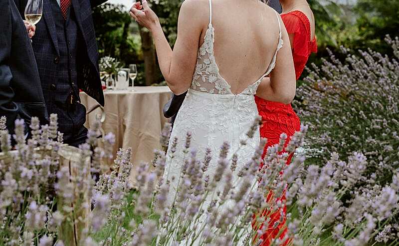 Hurley House - A group of people at an outdoor gathering, surrounded by lavender flowers. A woman in a white lace dress stands with her back to the camera, speaking with a man in a blue suit and a woman in a red dress. Trees and a cloudy sky are in the background.